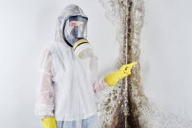 Best Environmental Consulting for Mold Prevention  in Silsbee, TX